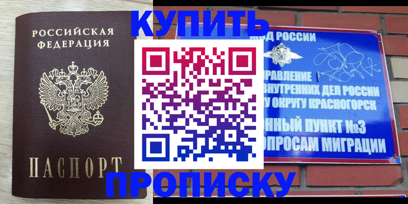 прописка гарантия в Вязьме